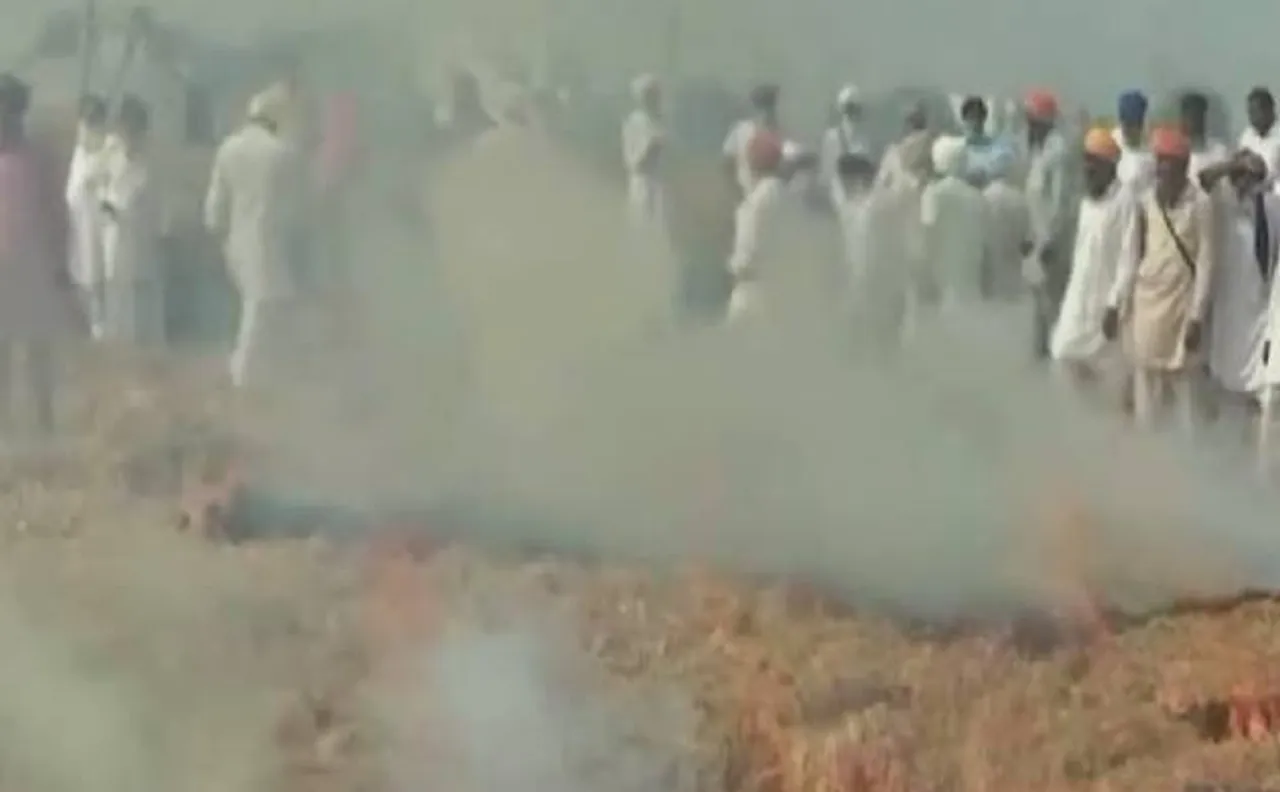  NGT slams Punjab, Haryana govt for filing generalised action plans to curb air pollution