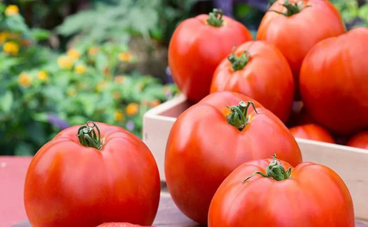 Restore lung damage by adding tomatoes and apples to your diet, says study