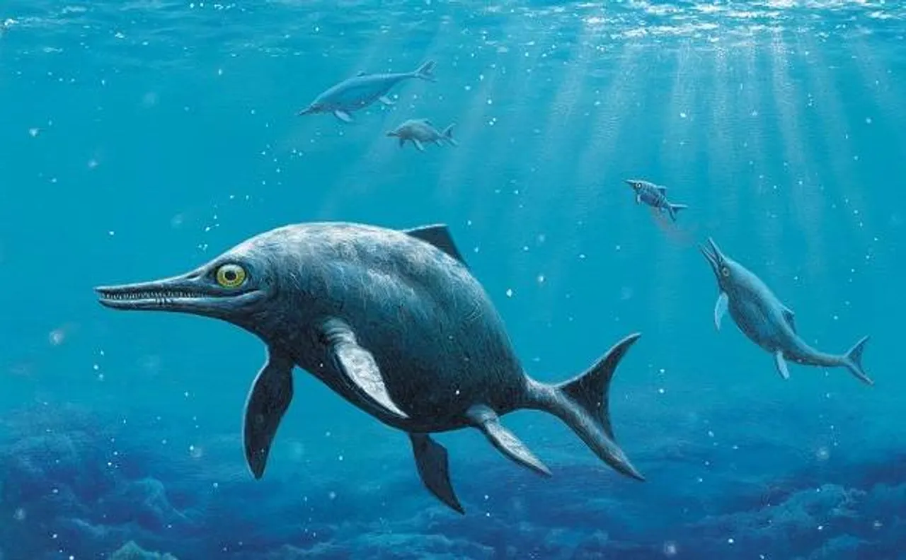 150 million-year-old fossilized remains of sea reptile discovered in Antarctica: Scientists