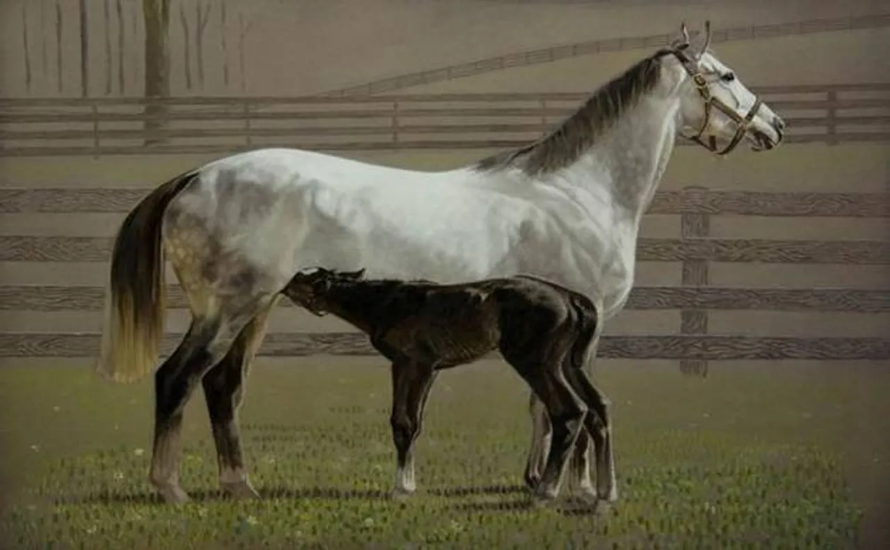 Equine movement banned in W Delhi over glanders epidemic fears