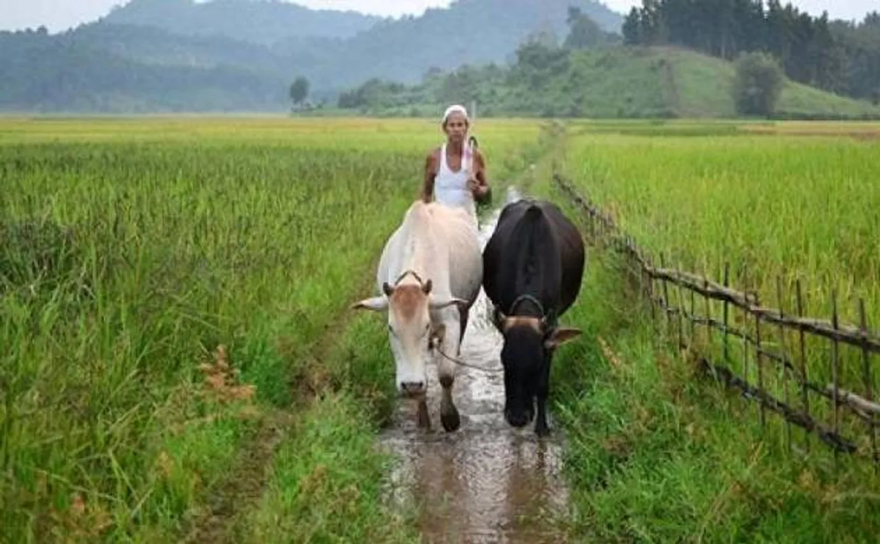 Centre sanctions Rs 20 cr for Bengal's Bidhan Chandra Krishi Viswavidalaya 