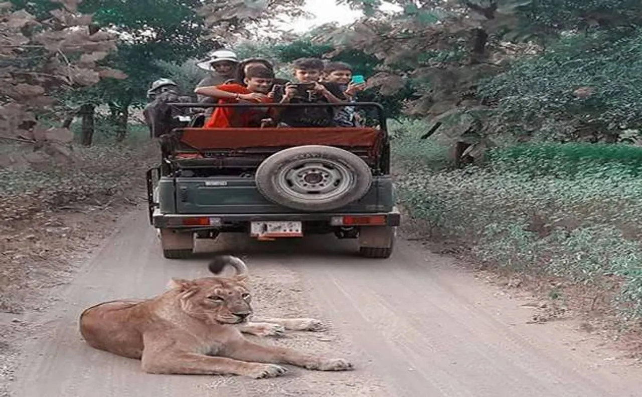 Environment ministry seeks improved air connectivity for Gir National Park