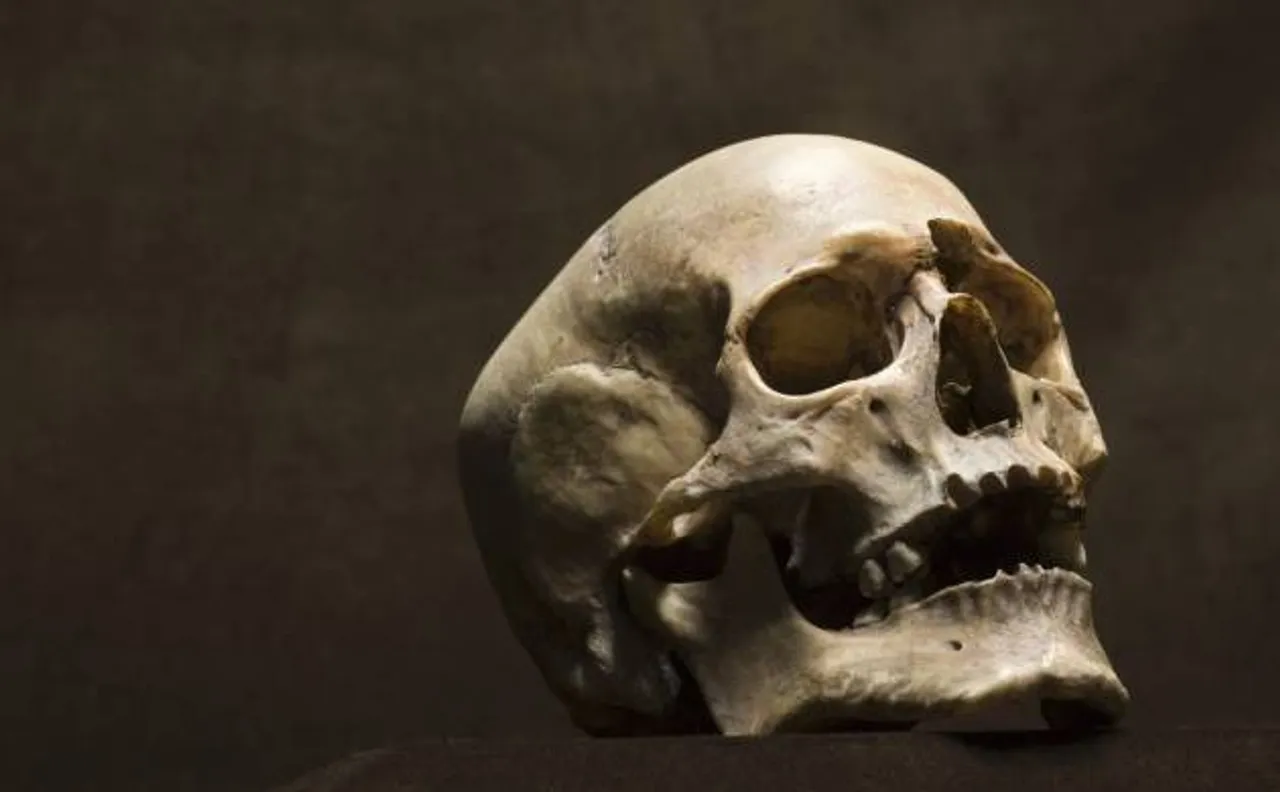Karnataka Police recover 13 human skulls from Mysore