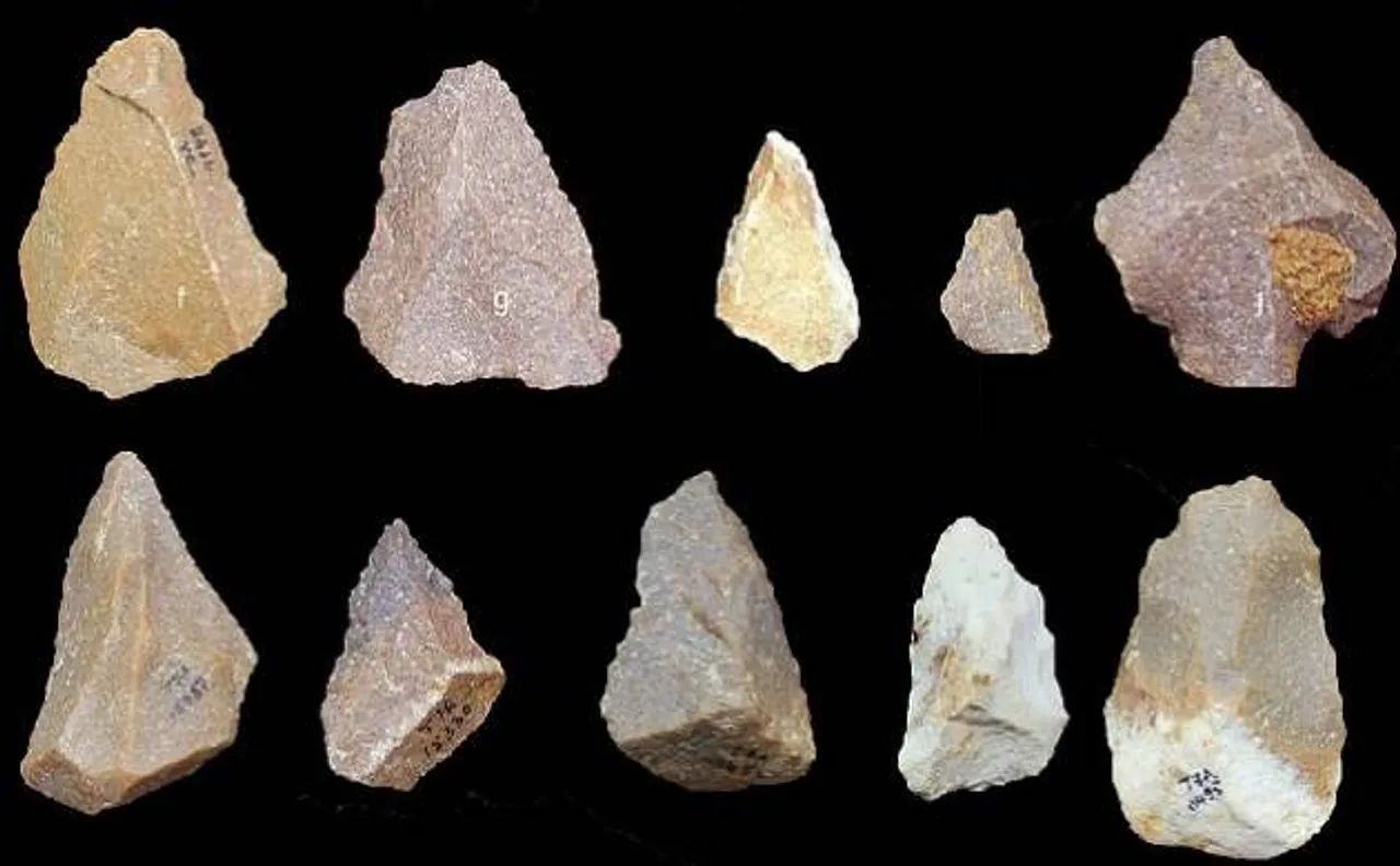 Stone Age tools recovered in Indiaâ€™s Tamil Nadu challenge theory of human evolution from Africa