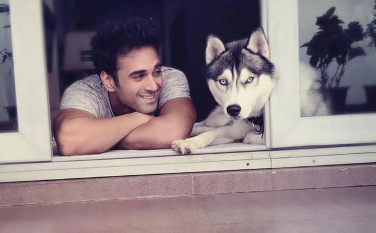 Veere Ki Wedding actor Pulkit Samrat reveals his Valentine's Day plan and it is not with Yami Gautam