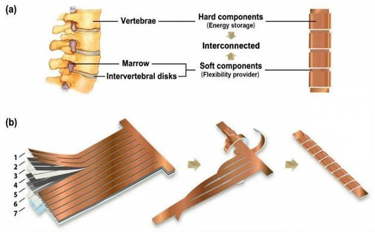 Now get flexible lithium ion battery like human spine