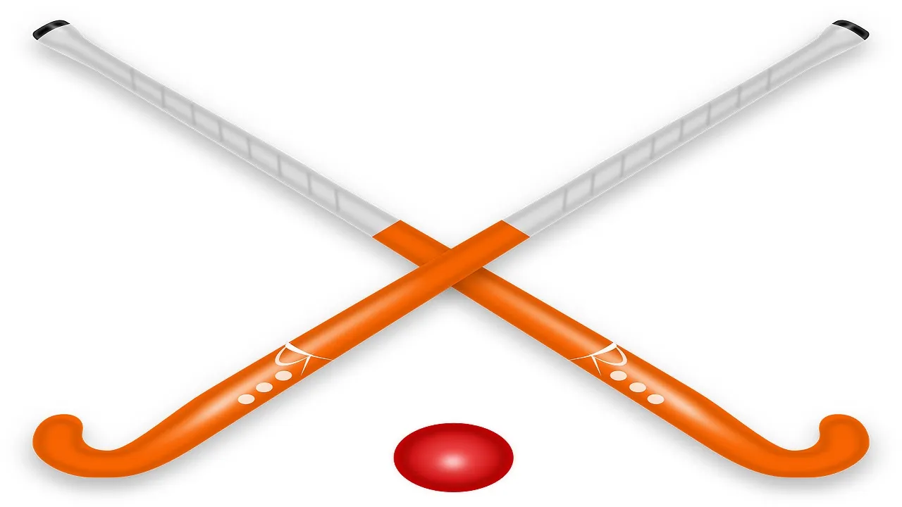 CHAKDE INDIA! India's women hockey team defeats South Korea 3-1