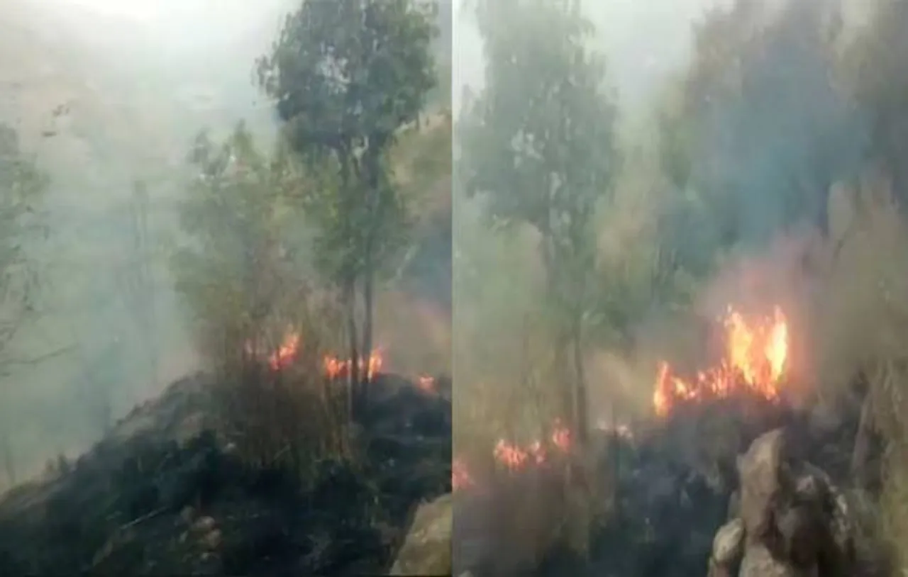 20 students caught in forest fire in Tamil Nadu, Sitharaman orders IAF to rescue them