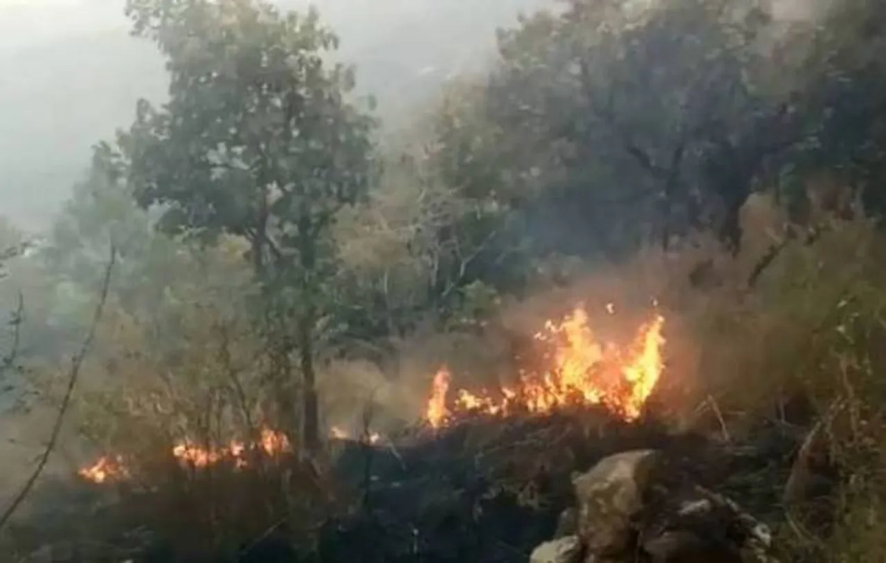 Nine trekkers died in Kurangani Forest fire in Tamil Nadu, 27 rescued