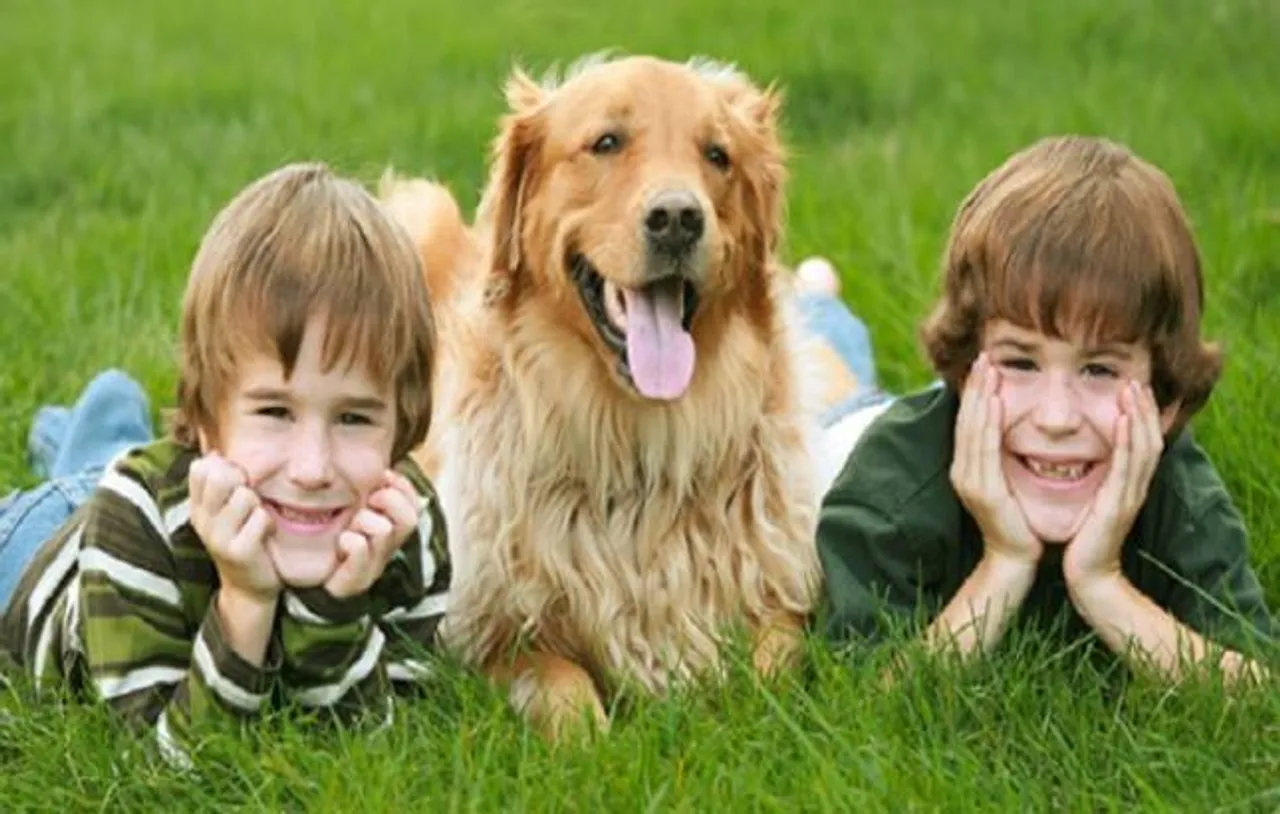 Spending time with specially trained dogs may help students release stress during exams, says study