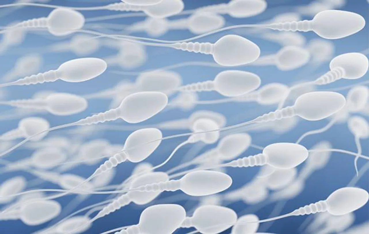Low sperm count may signal poor health: Study