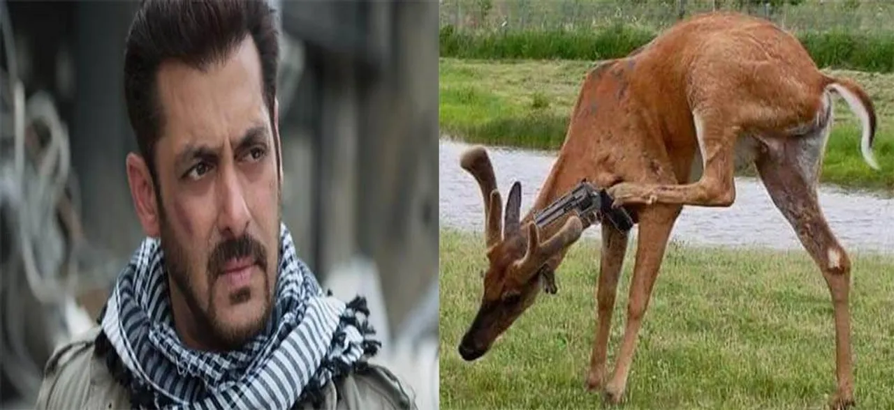 Blackbuck poaching case: After verdict, Salman Khan gets Twitter trolled