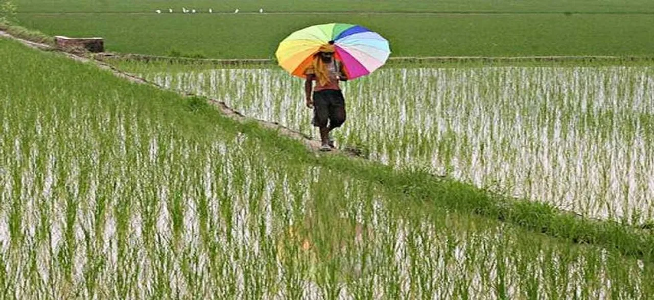 Countryâ€™s foodgrain production may break records, claims Agriculture Secretary Pattanayak