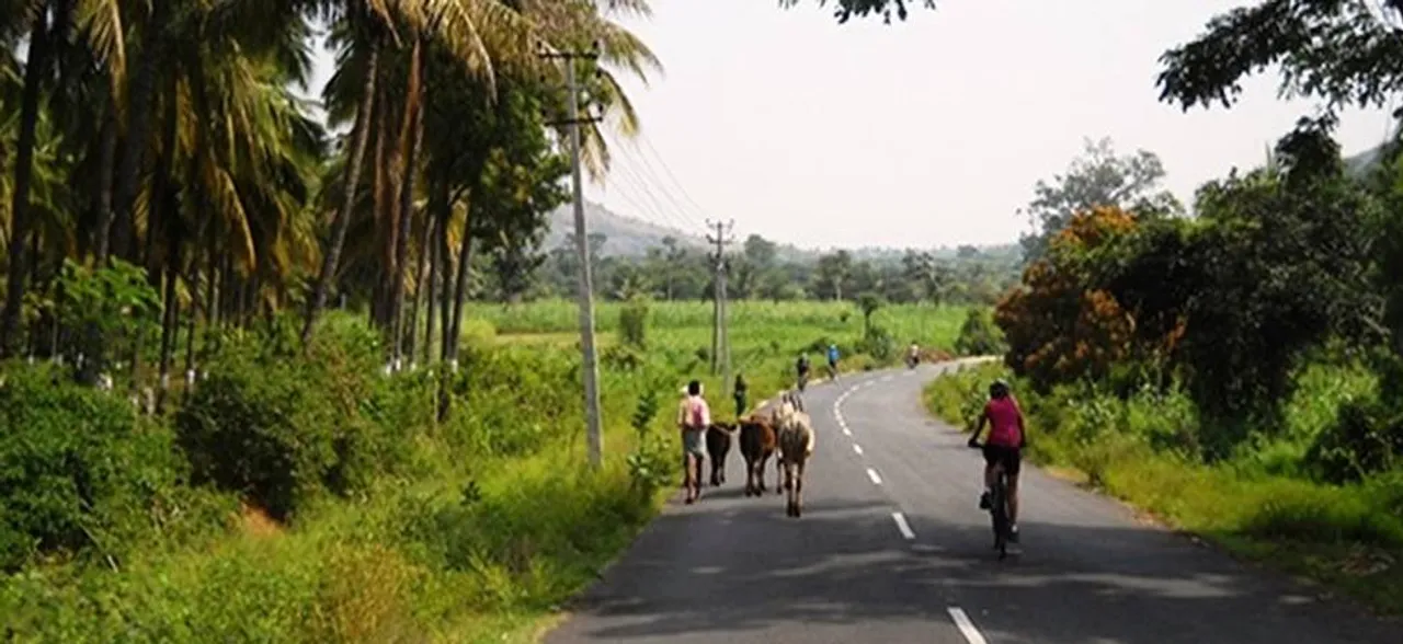 Goans skip beaches, hit the hinterland to beat summer heat
