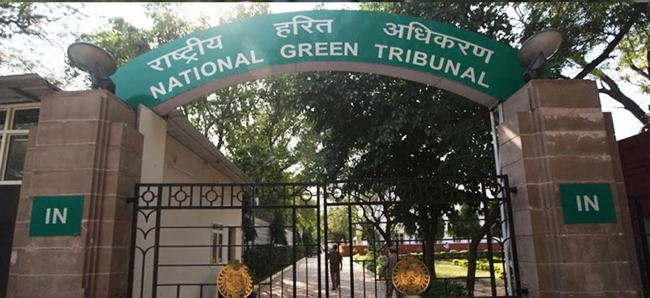 Green cover along highways: NGT issues notice to NHAI