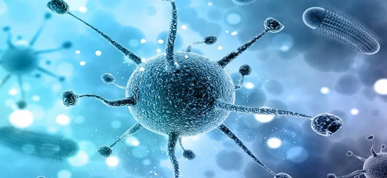 Nipah virus scare: Death toll rises to three; Centre rushes NCDC team to Kerala