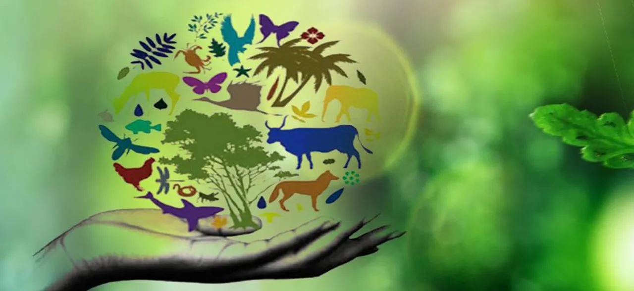 International Day for Biological Diversity 2018: Let's pledge - Before we leave, we leave the earth more green