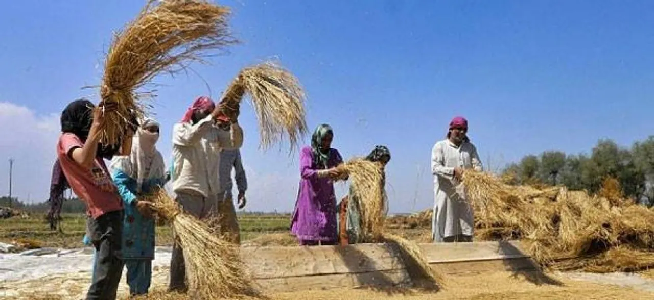 Rice exports may fall by up to 1 mt in FY19