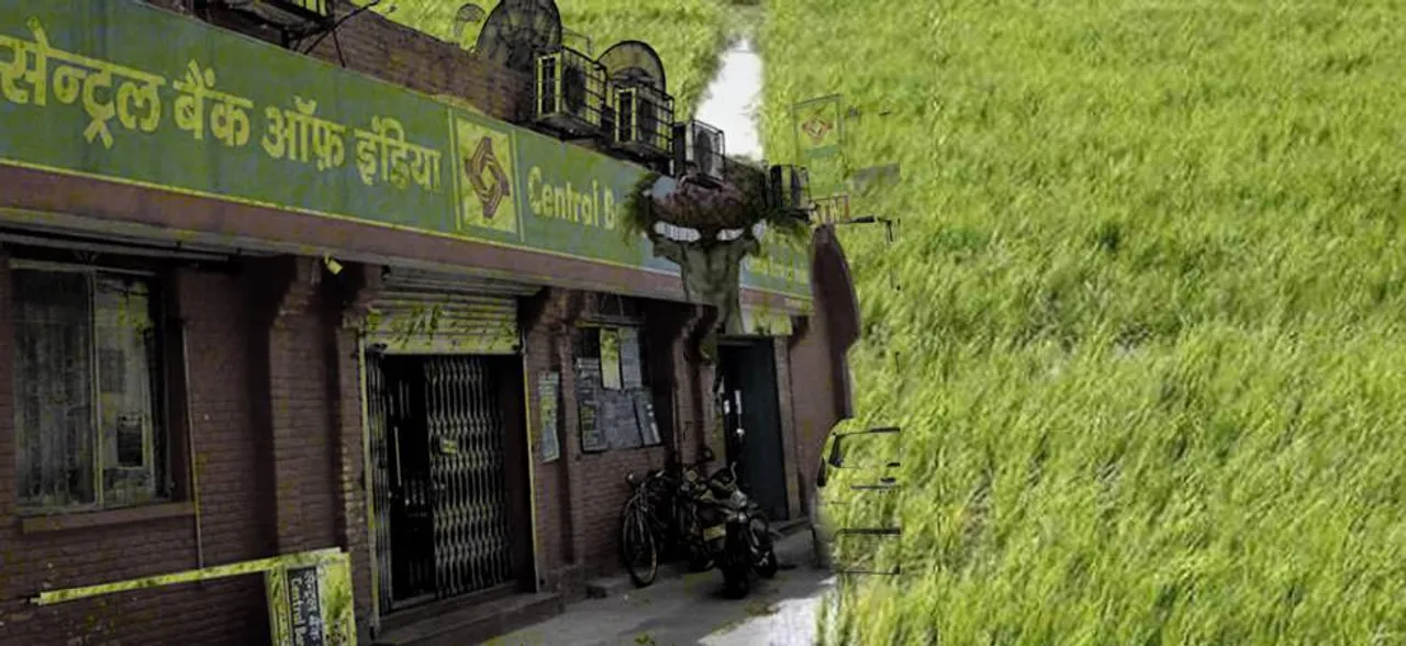 Maharashtra: Bank manager asked sexual favours from farmer's wife seeking farm loan