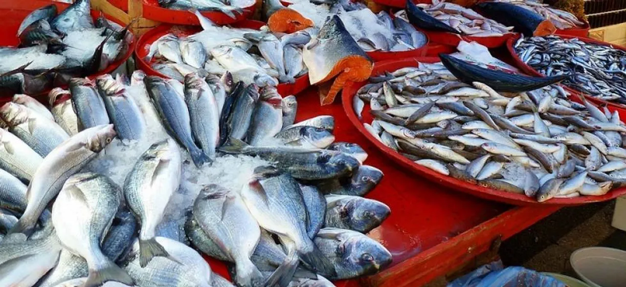 Amid formalin scare Goa bans fish import till July-end