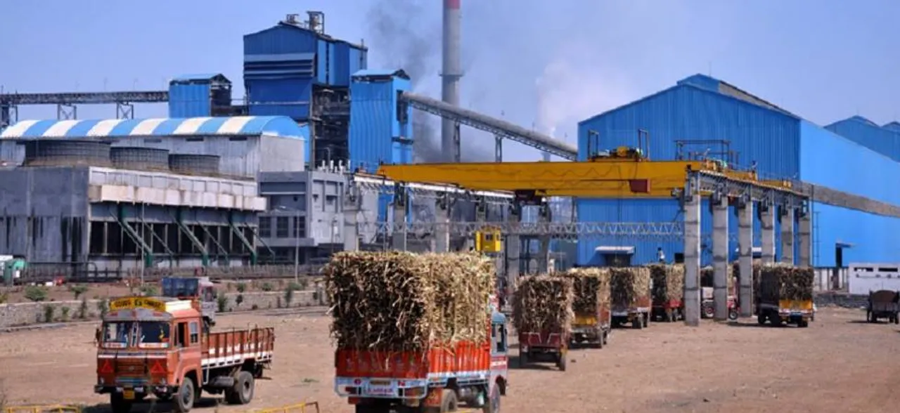 Government hikes sugarcane price by Rs 20/quintal to Rs 275