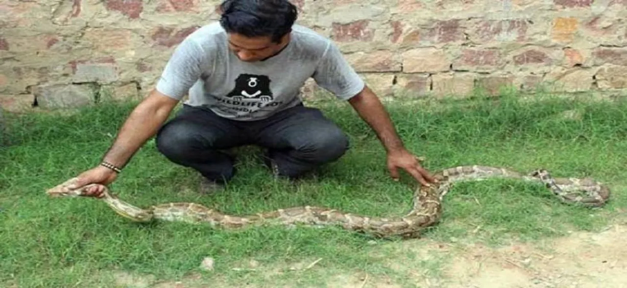 Two snakes rescued from Delhi: Wildlife SOS