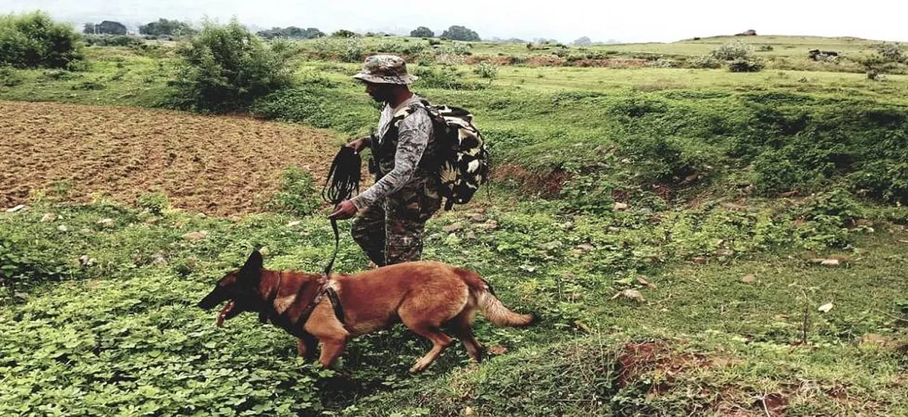 Day after 8 Maoists killed in Chhattisgarh, security alert in 5 districts of Odisha