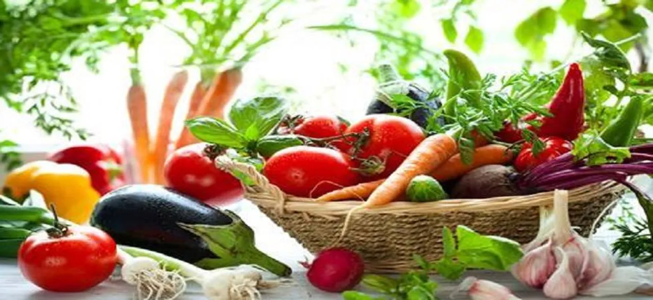Vegetarian diets in India 84 per cent protein deficient?