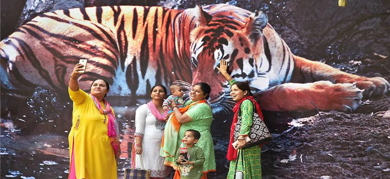 International Tiger Day 2018: Tigers are piece of beauty, let's embrace and save them!