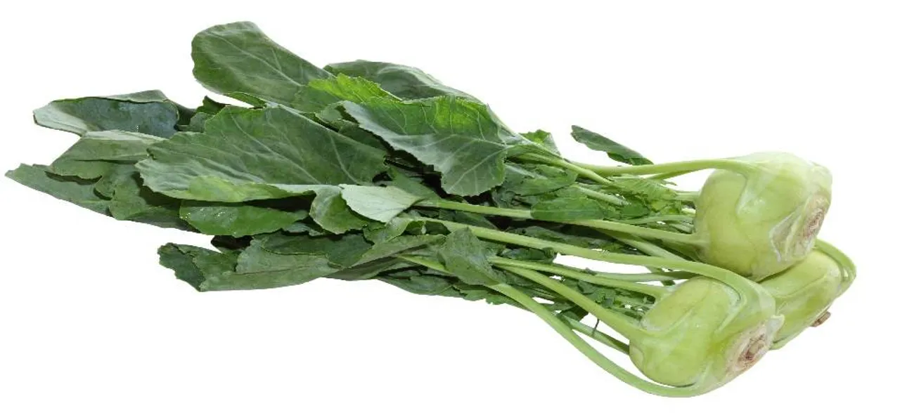 Kohlrabi: How this green vegetable can help prevent cancer