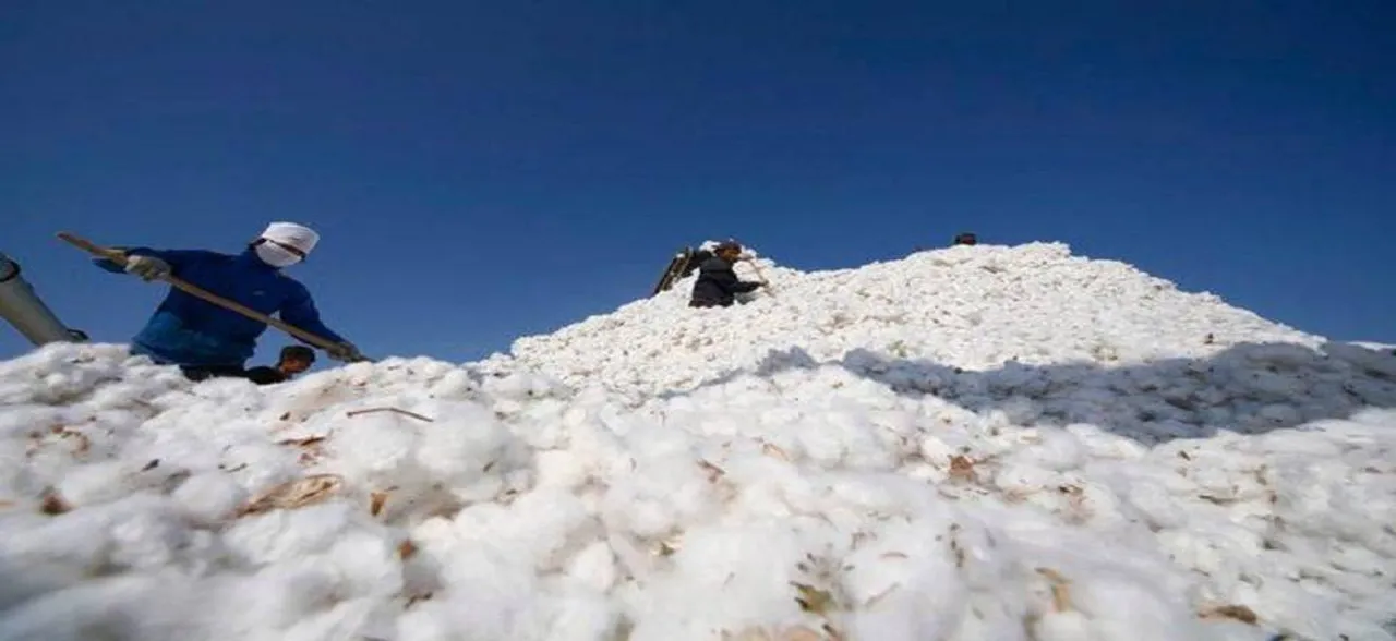 Steps being taken to stop cotton contamination: CCI