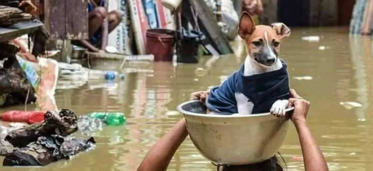 Kerala Floods: UAE extends helping hand; AAP MPs, MLAs donate a month's salary
