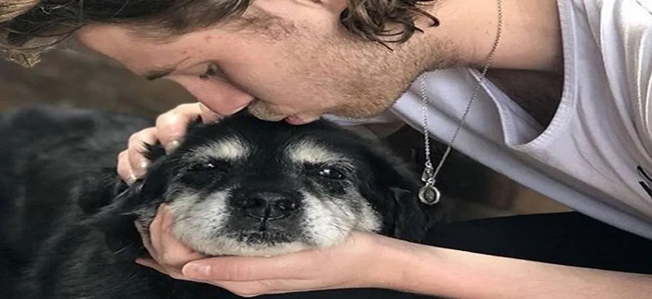 How your dog can detect a bad friend