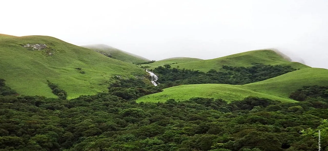 Coimbatore to host global meet on saving Western Ghats in November