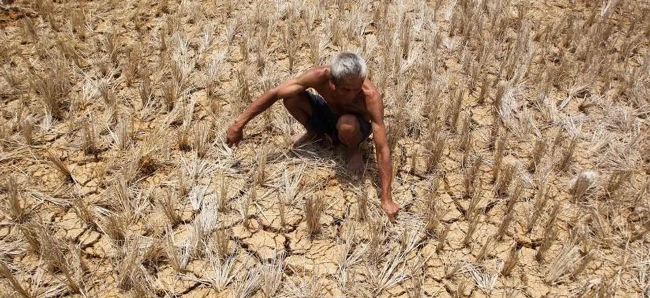 Decoding India's farm crisis and farmers' woes