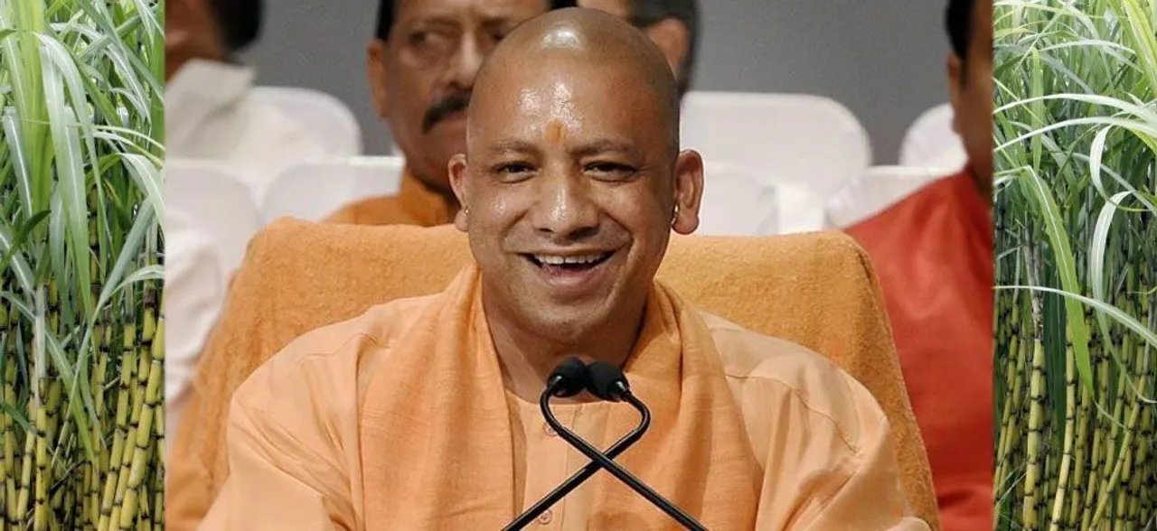 Yogi Adityanath turns â€˜doctorâ€™, says excess production of sugarcane leads to diabetes