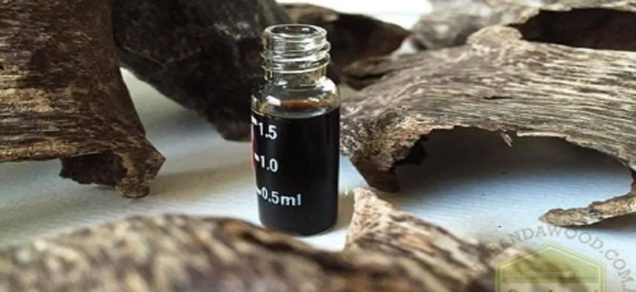Perfume Enigma: Getting to the essence of Agarwood fragrance