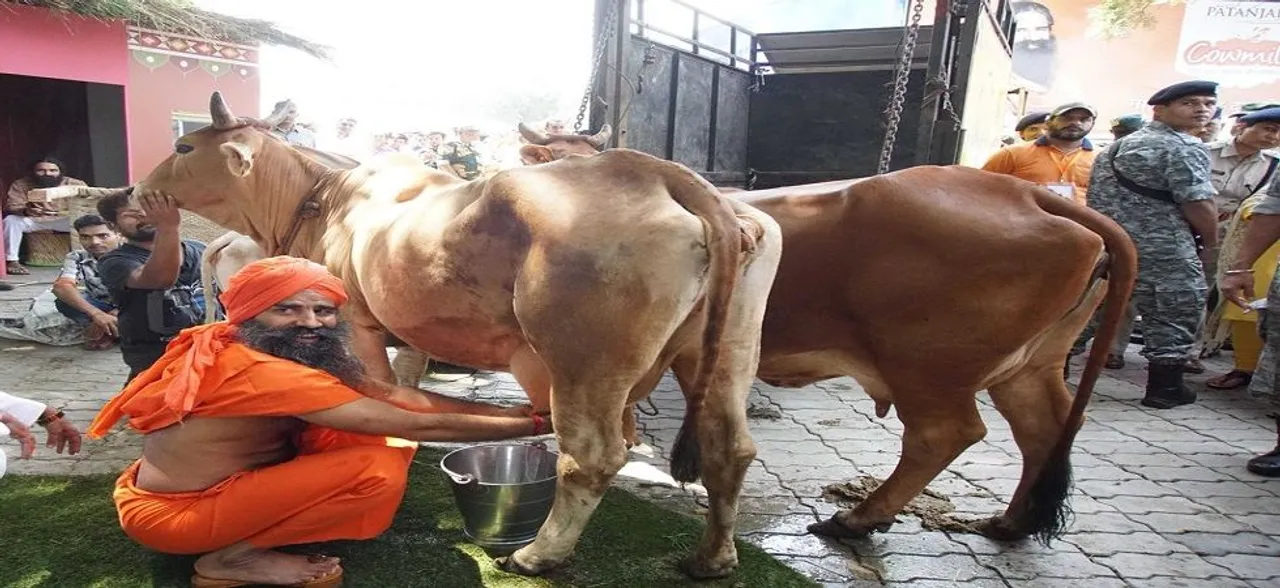 Patanjali enters dairy business; eyes sales worth Rs 1,000 crore next fiscal