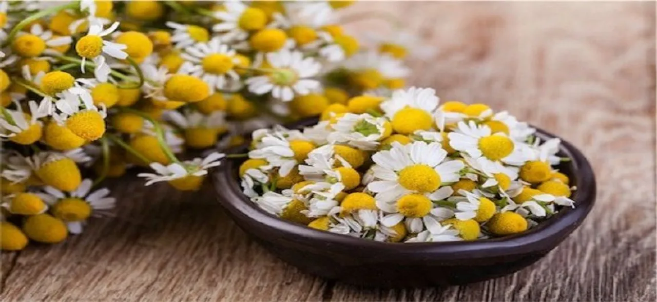 Don't miss these bedtime snacks for a good night sleep