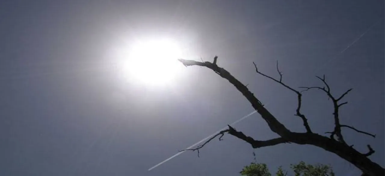 Delhi Weather: Sunny and bright; cool and pleasant Monday 
