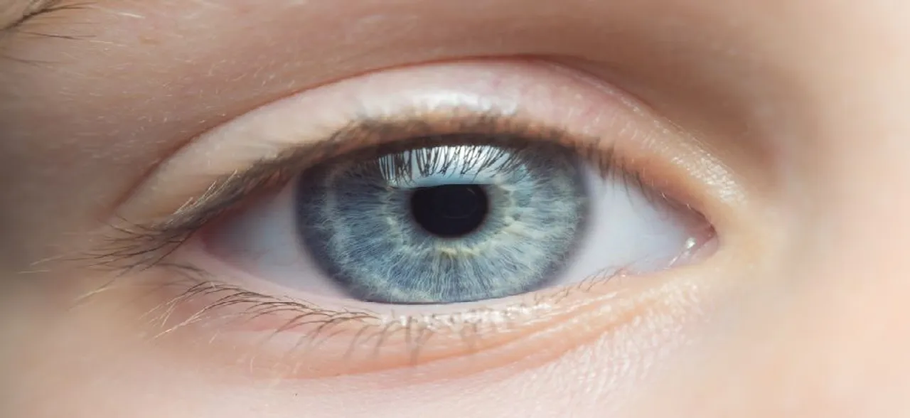 Did you know your eyes have natural night vision mode?