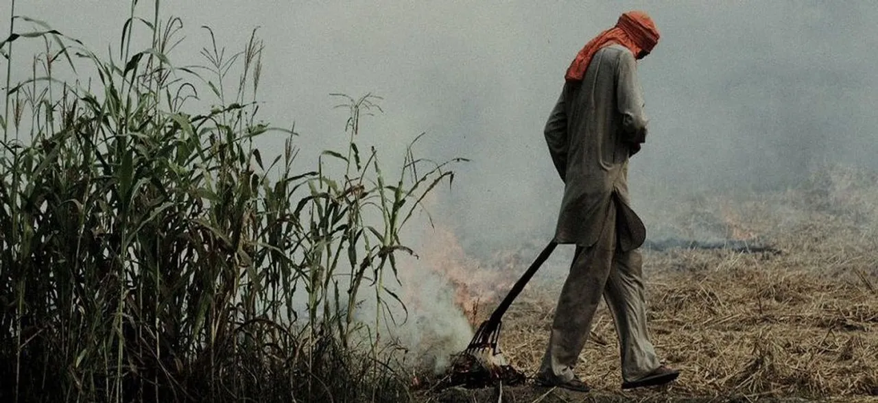 Punjab govt to appoint nodal officers to check stubble burning