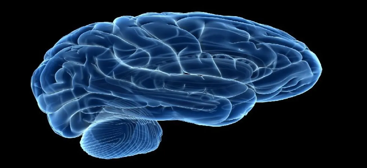 Scientists connect three human brains enabling them to share thoughts 
