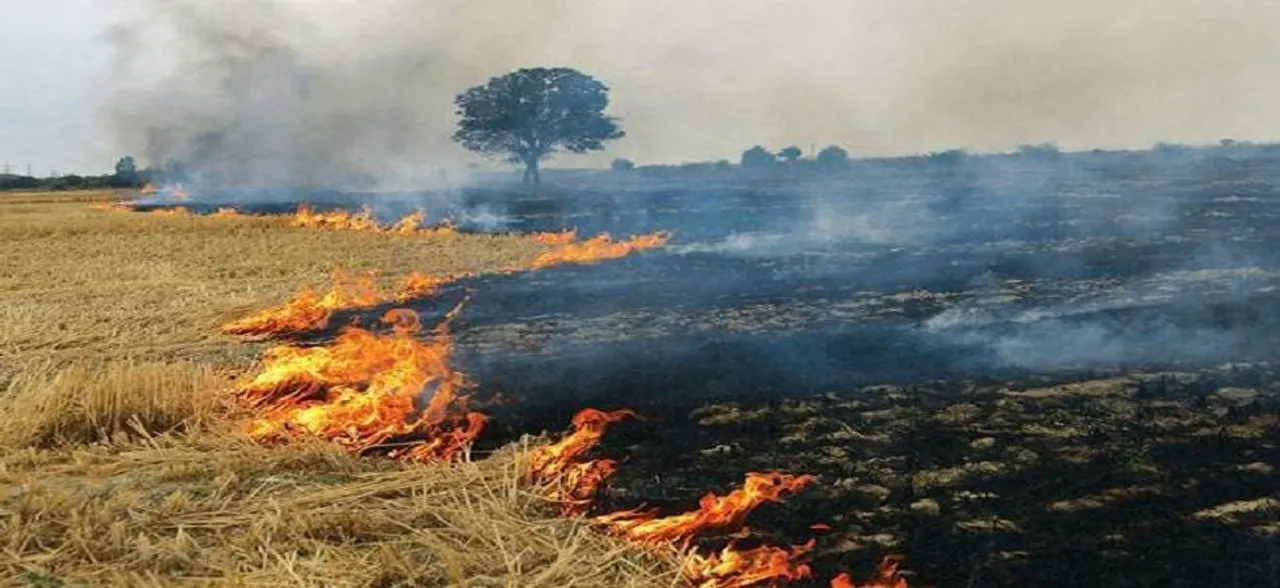 Haryana: 12 farmers fined for burning crop residue in Hisar