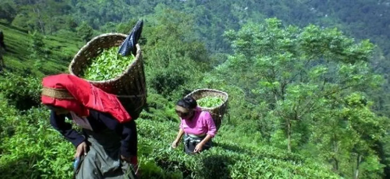 Sikkim: '100% organic state' gets F&O award for best policies