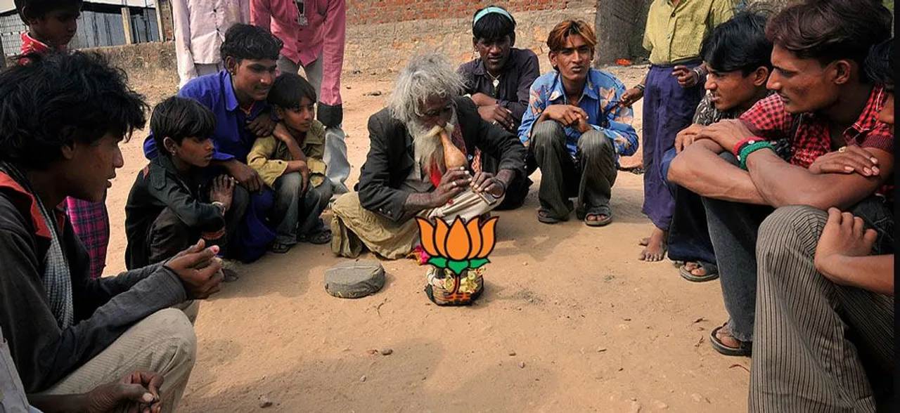 To save Madhya Pradesh citadel, BJP to hire magicians for campaigning in Assembly polls