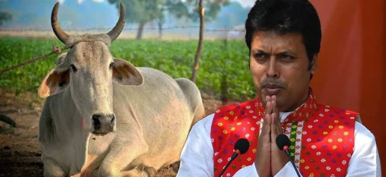 Tripura government to give 10,000 cows to farmers; CM Biplab Deb says he will rear cow at residence