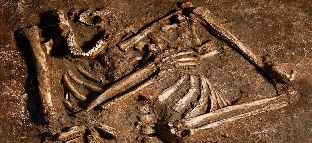 Neanderthals had straighter spine than modern humans: Study