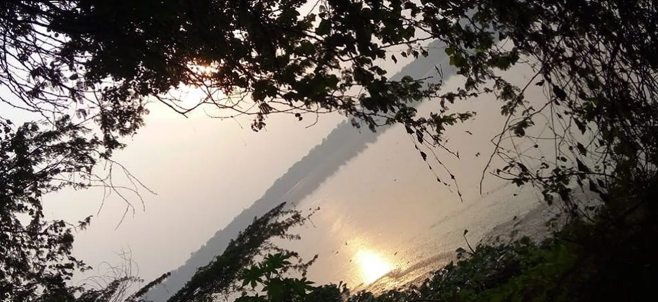 Okhla Bird Sanctuary - a peaceful getaway by the river Yamuna
