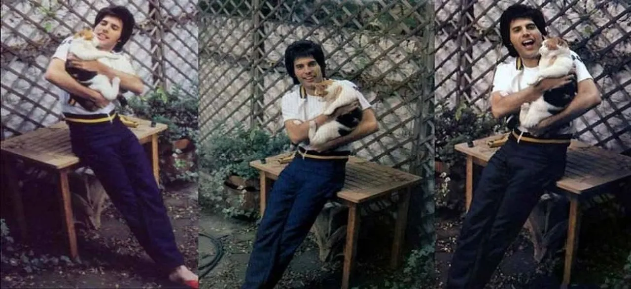 Freddie Mercury's oversized teeth became his biggest blessing